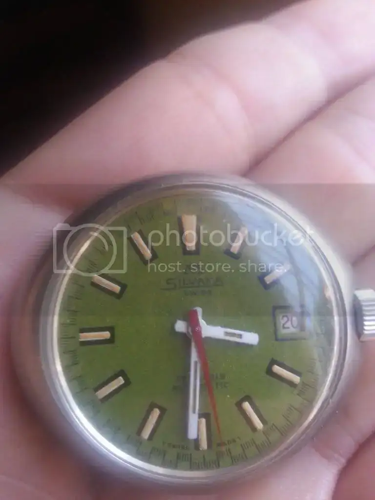 20130705_124339_zps1b7ce628.webp
