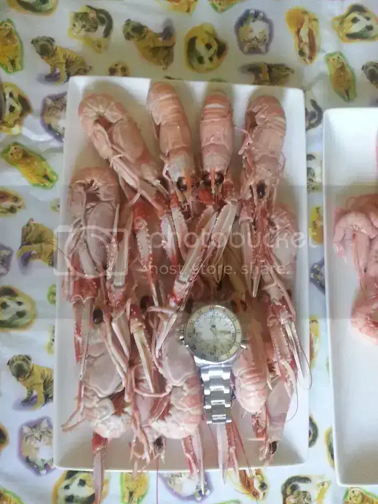 20130816_151949_zpsc8202a24.webp
