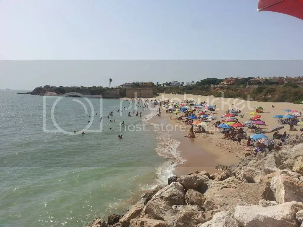 20130823_163817_zpse4d366eb.webp
