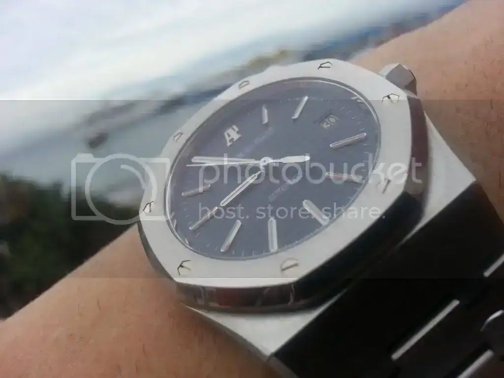 20131130_085529_zps520633fe.webp