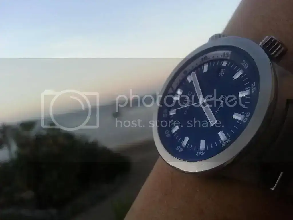 20140326_070626_zpsavg6l6rt.webp