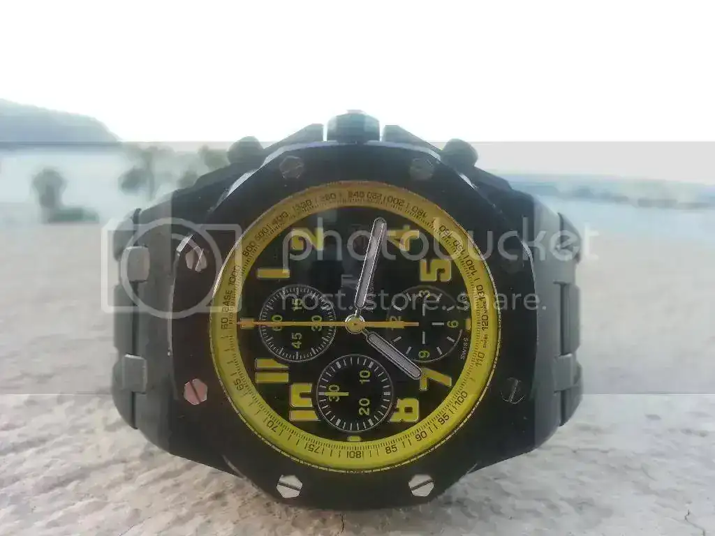 20140329_071721_zpsxh9uy7or.webp