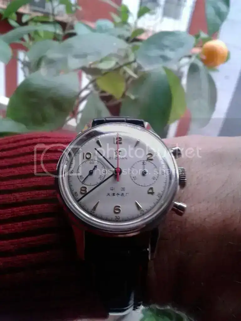 20140329_103928_zpszxxthiz1.webp