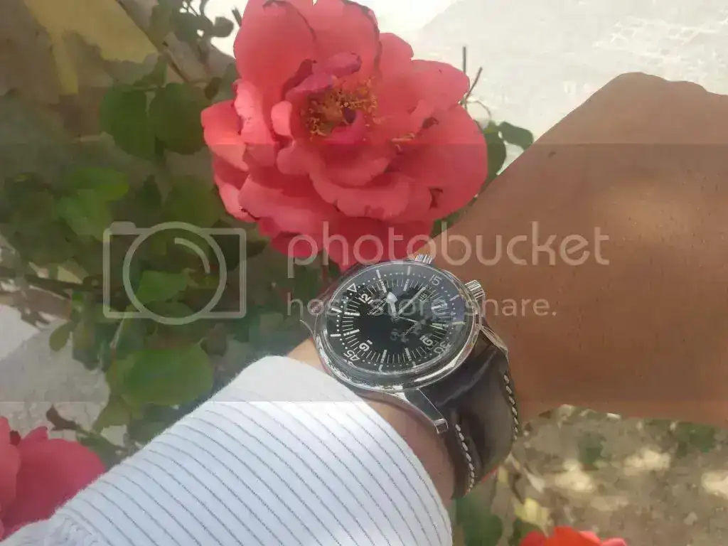 20140718_131357_zpsqriagmk4.webp