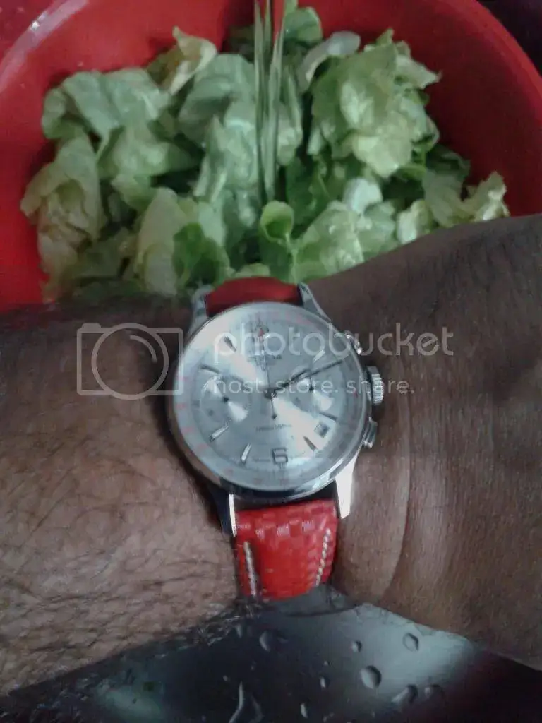 20140822_141245_zpsz2q4fwzn.webp