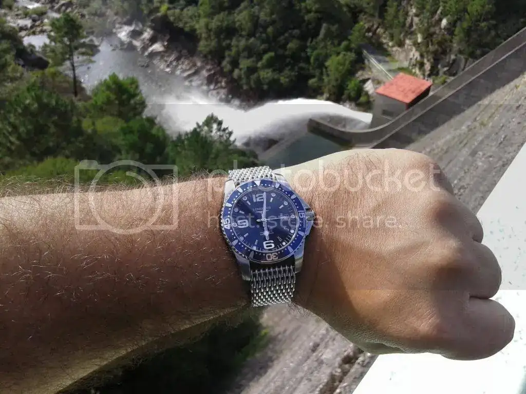 20140823_180203_zps6g9z2w8x.webp