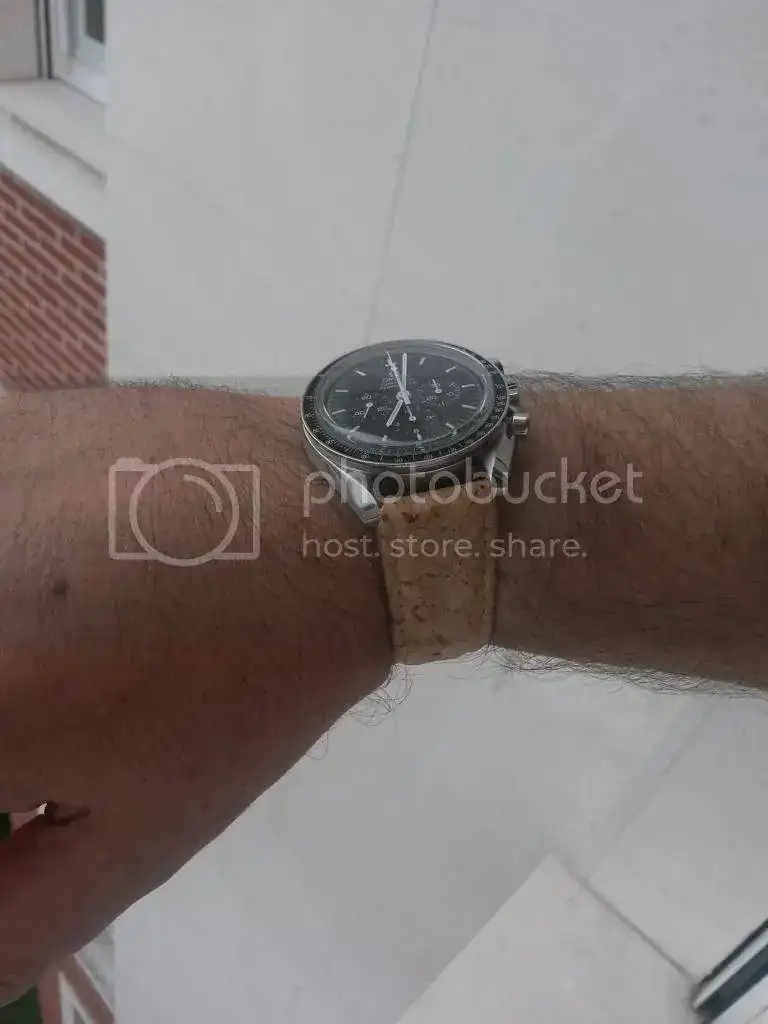 20141011_190235_zps1cq9dees.webp