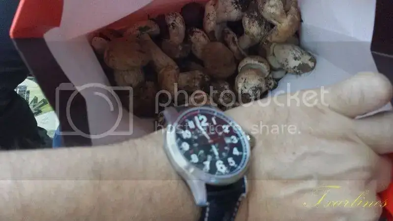 20141026_175734Copiar_zps17e87f00.webp