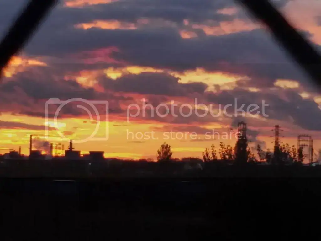 20141104_180811_LLS_zps4flgavtk.webp
