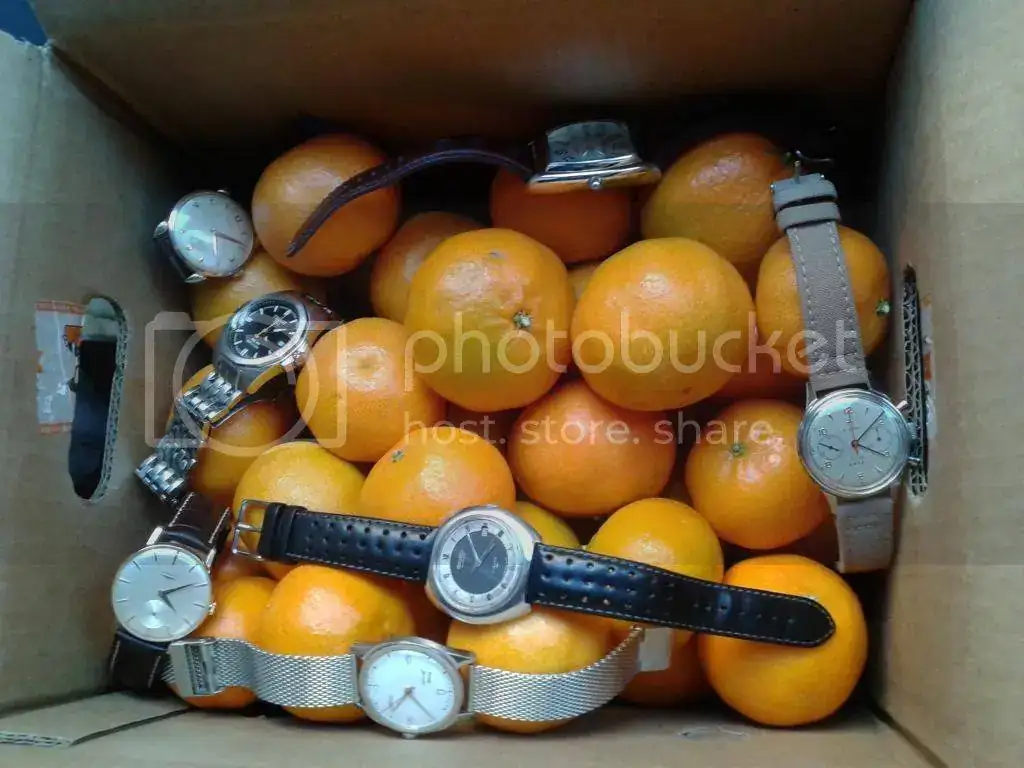 20141119_160913_zps1o1rnilk.webp
