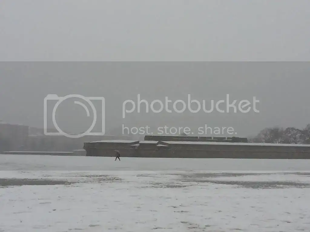 20150201_111343_zpswq0cynqz.webp