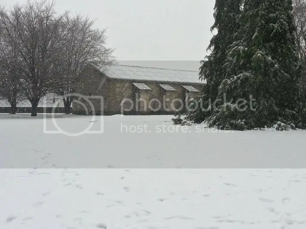 20150201_111929_HDR_zpsuzd0okjm.webp