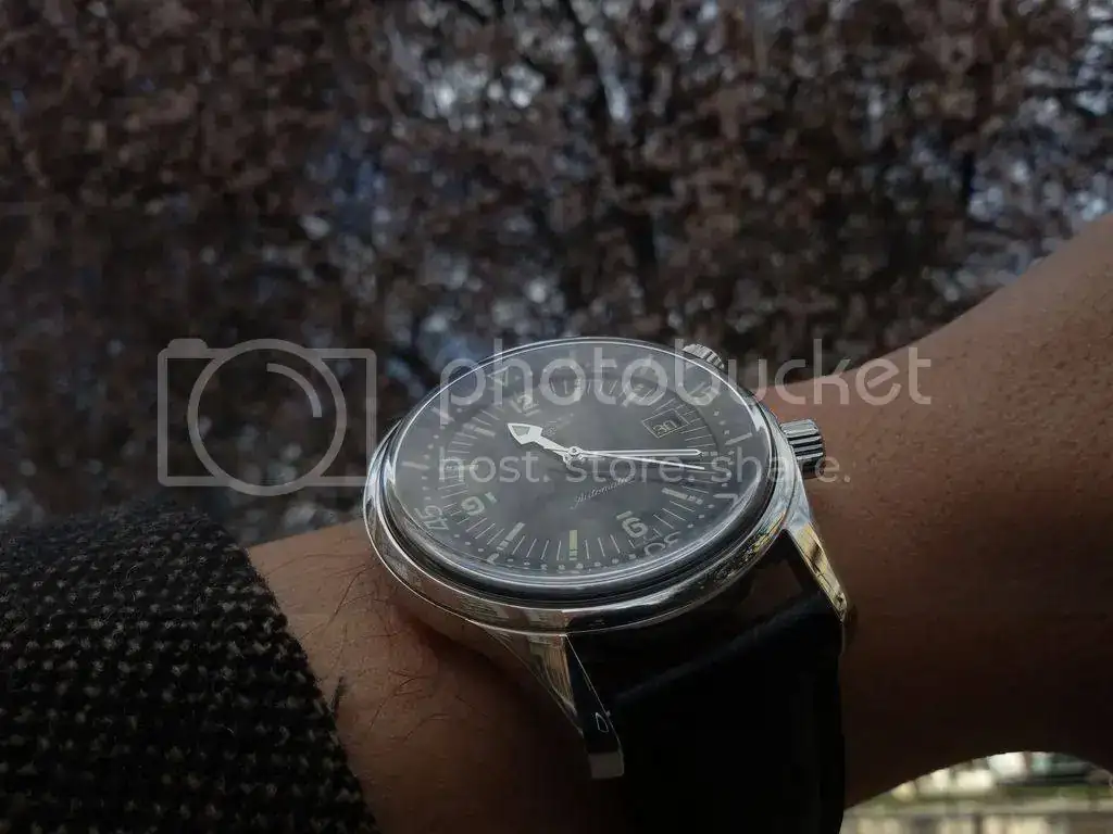 20150330_112025_zpstf2qoyut.webp