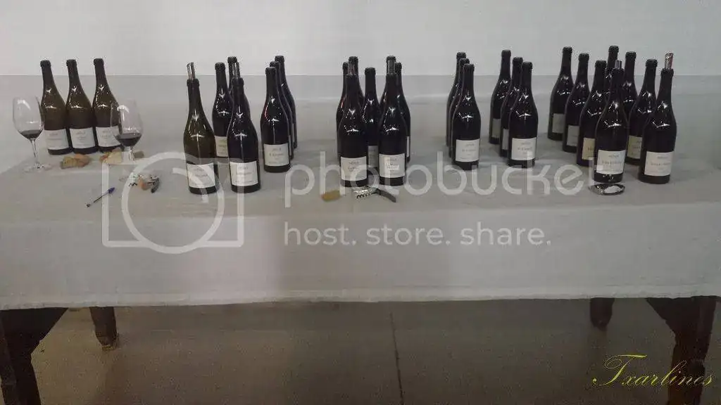20150526_111858%20Copiar_zpsa39yowcf.webp