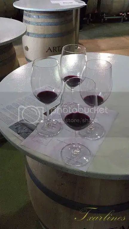 20150526_115129%20Copiar_zps0zyzchyd.webp