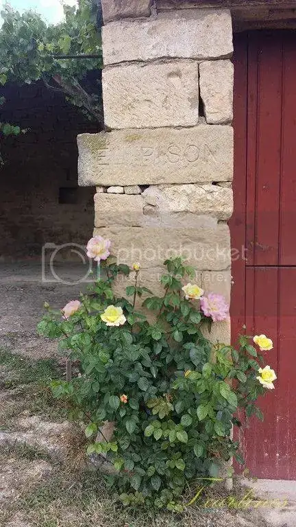 20150526_131508%20Copiar_zpscirn9cst.webp