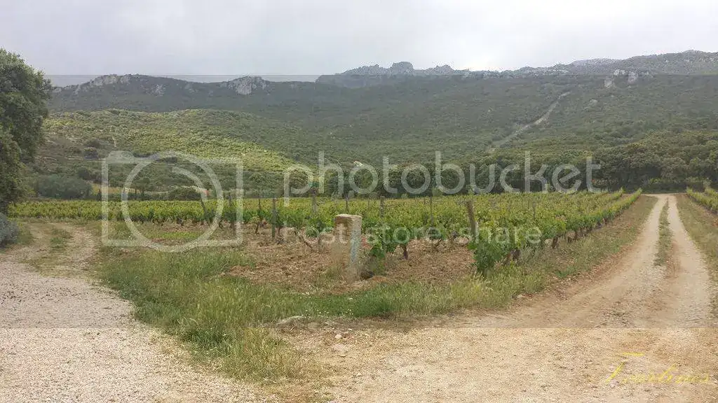 20150526_172748%20Copiar_zpscrkozbhr.webp