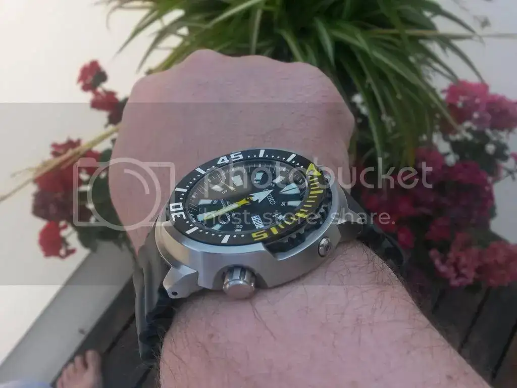 20150604_112620_zpsvr6jnfou.webp