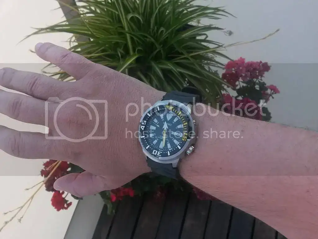 20150604_112627_zpsoc2dvegs.webp