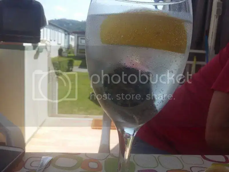 20150627_165910_zpsniox1kyc.webp