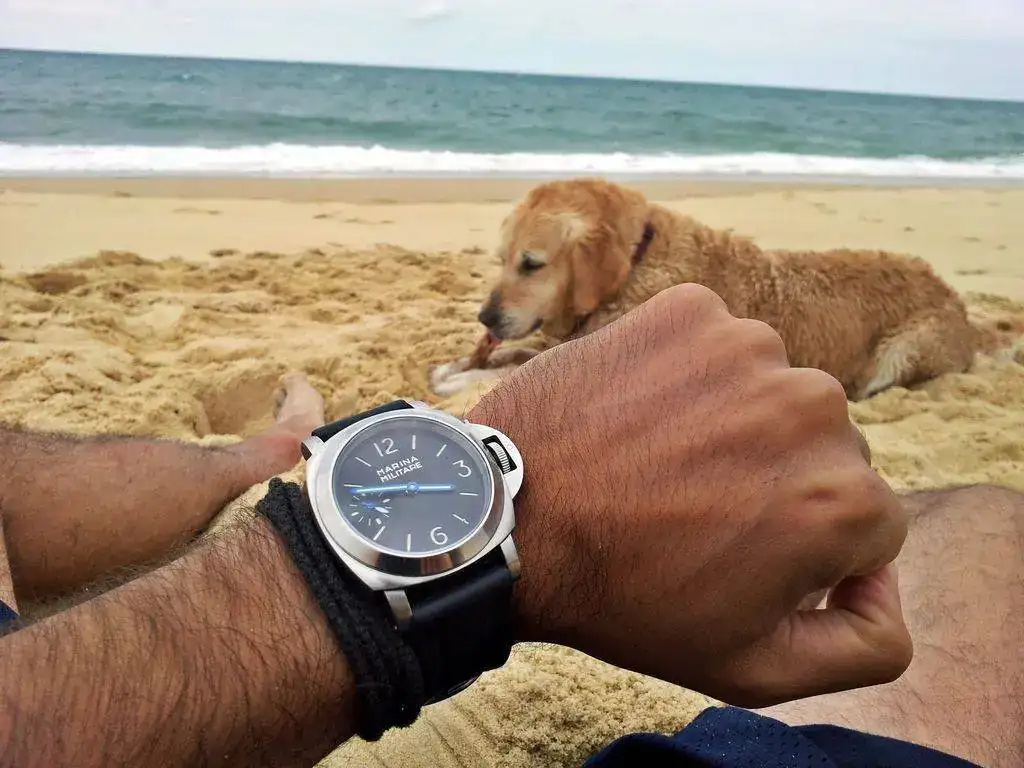 20150731_154857_zps7ocqdo6s.webp
