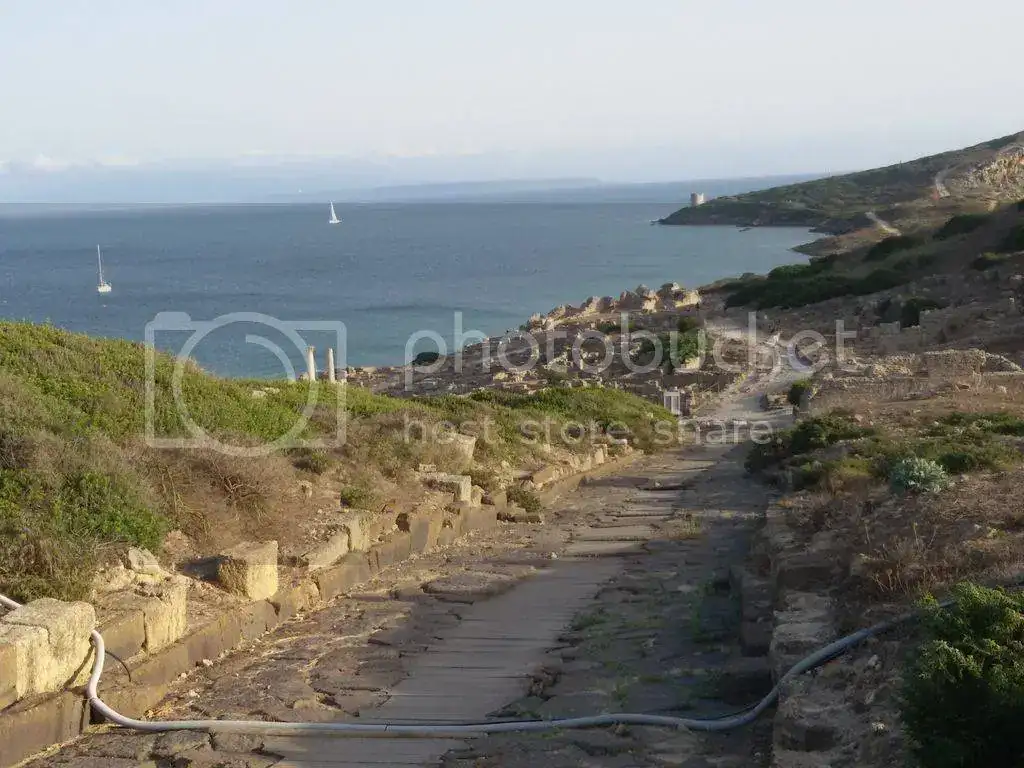 20150804_191736_zpsnka3ql8p.webp