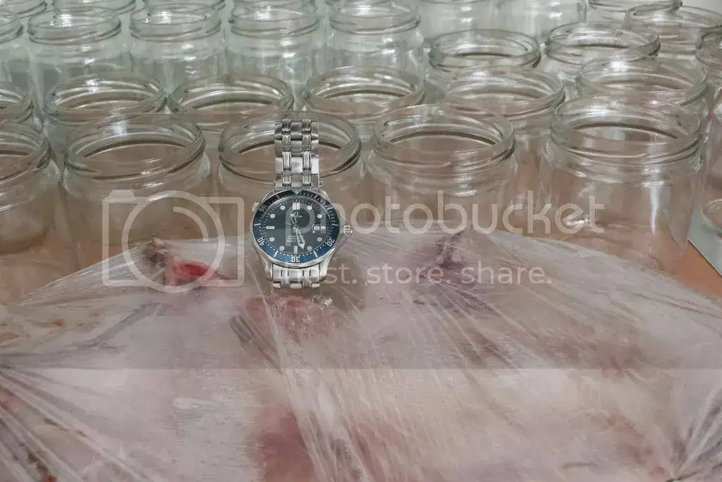 20150810_112749-1_zps6zzcukxs.webp