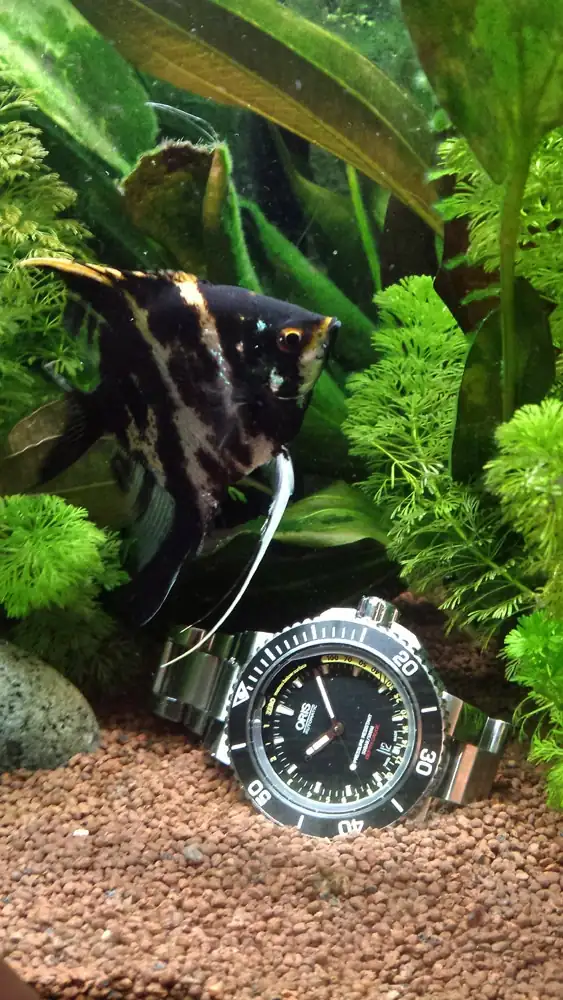 2016-03-10 19.39.12 peq.webp