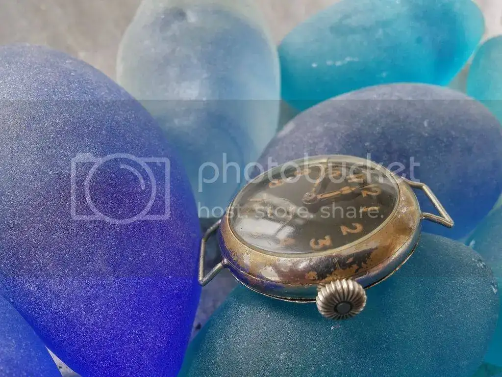 20160407_115016_HDR_zps1d5b0ynk.webp