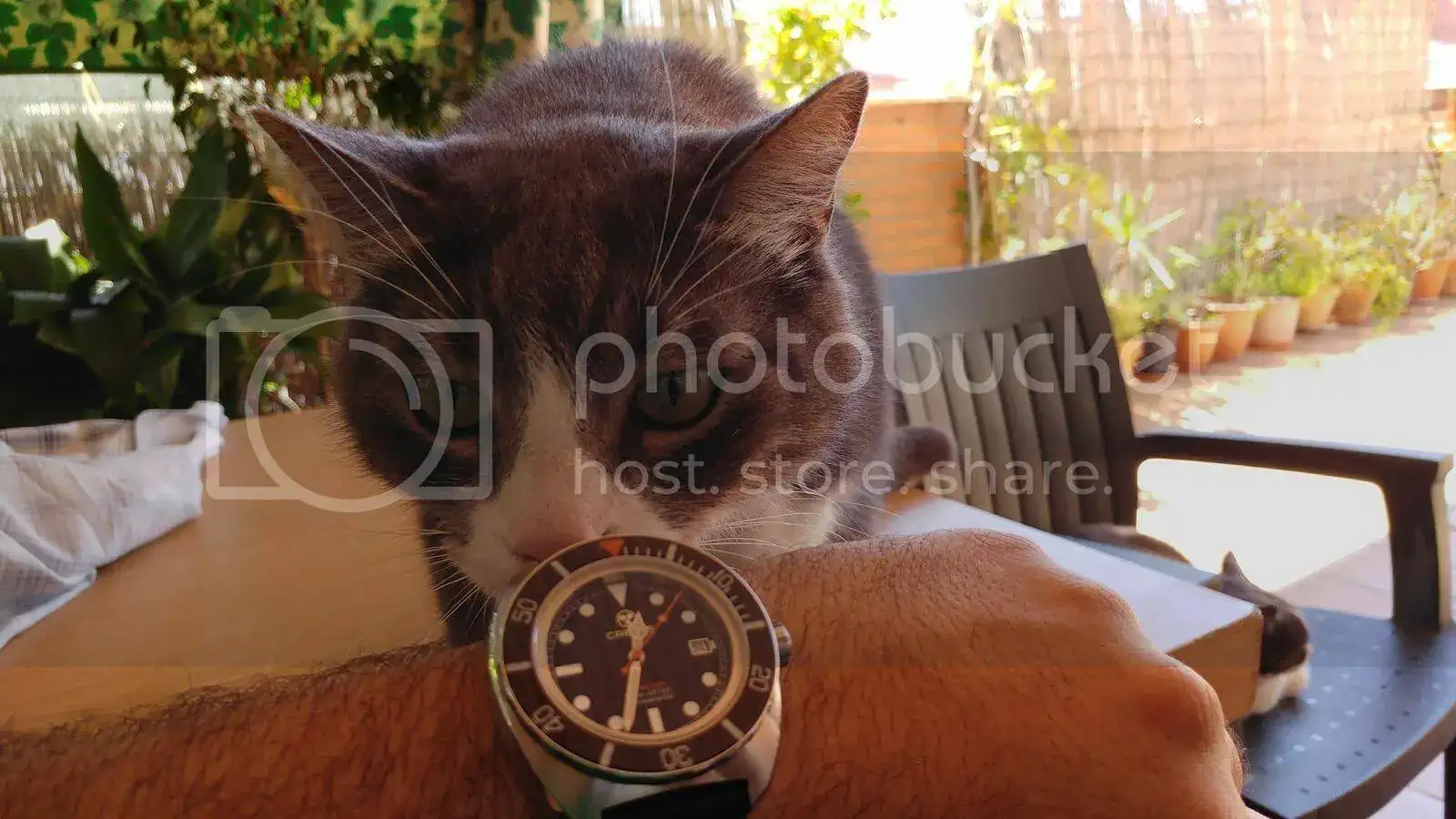 20160624_123638_zpseamt0rxc.webp