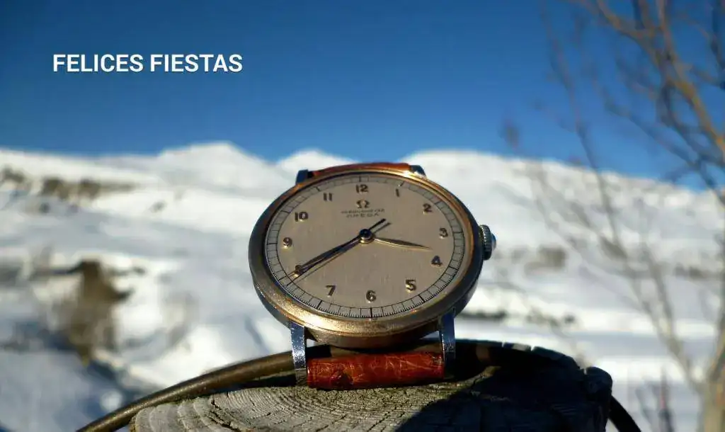 2017-12-16 11.24.22.webp