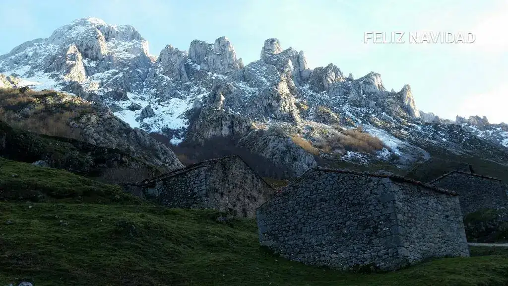 2017-12-23 13.06.07.webp