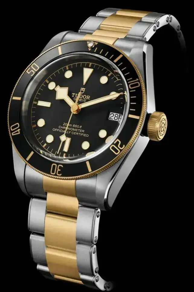 2017-tudor-heritage-black-bay-steel-gold.webp