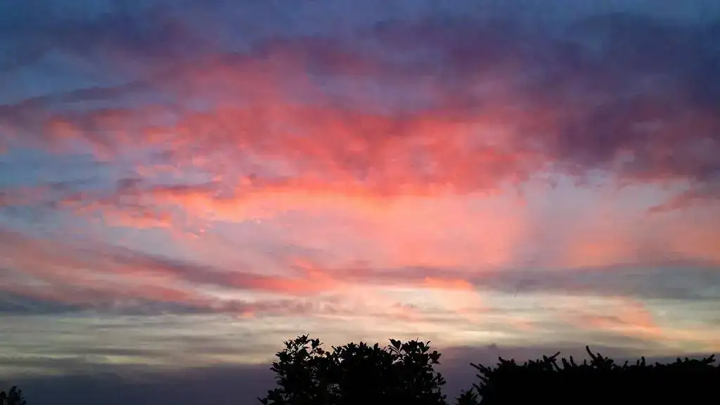 20170923_202502.webp