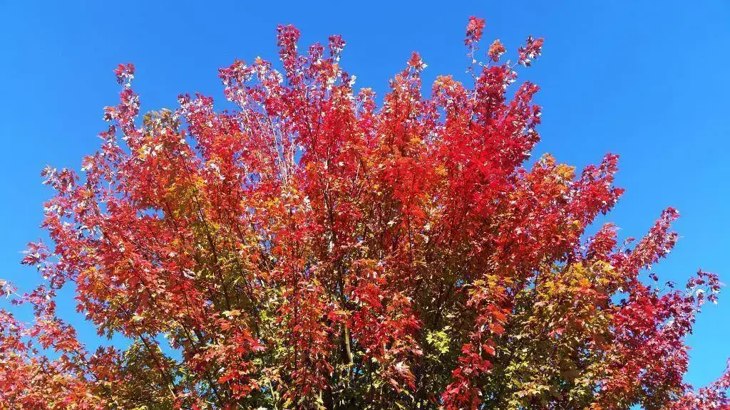 20171023_145015.webp