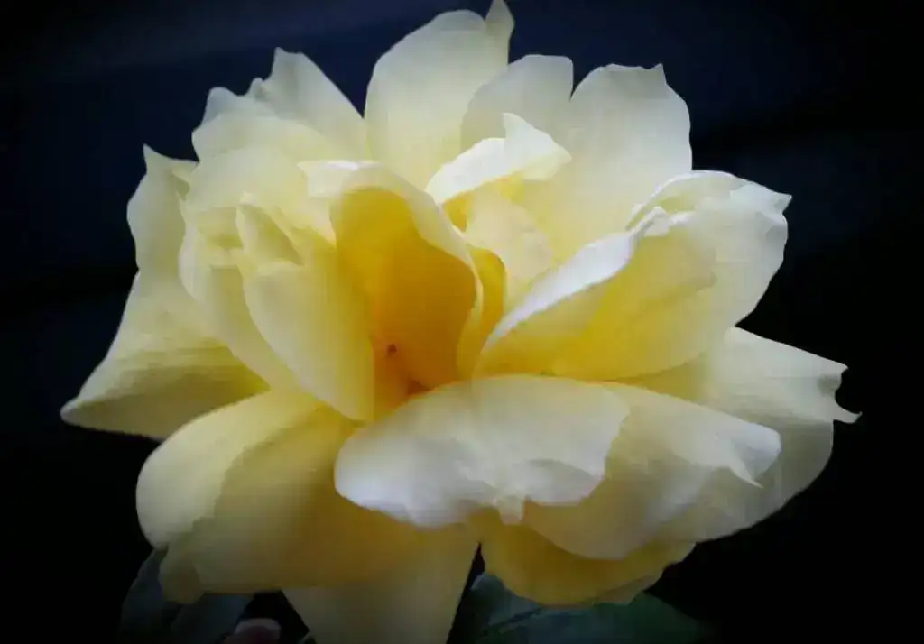 2018-05-05%2021.32.39.webp