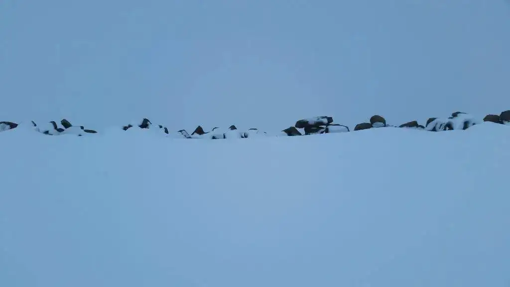 20180210_114523.webp
