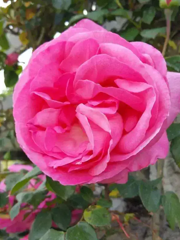 20180422_180849.webp