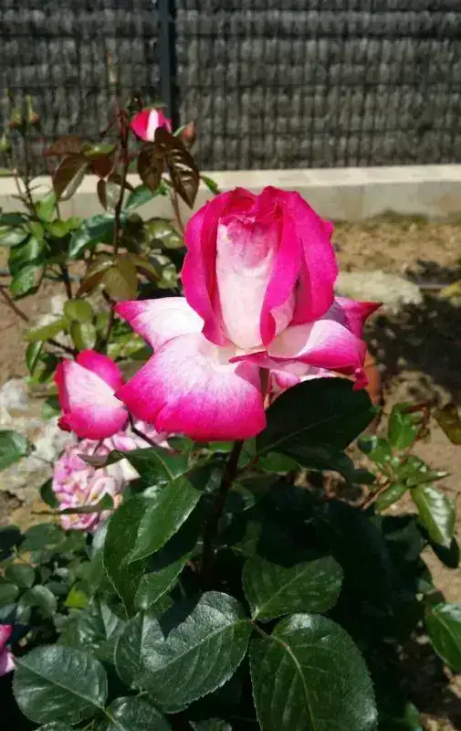 20180507_151625-1.webp