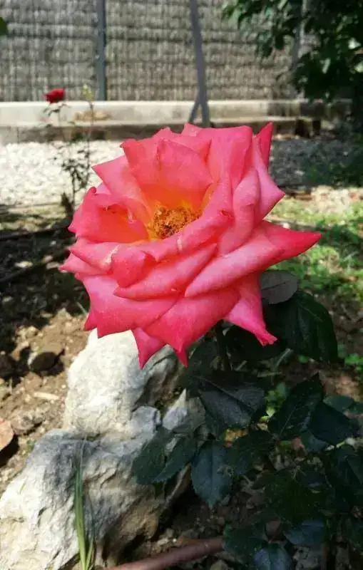 20180507_151715-1.webp