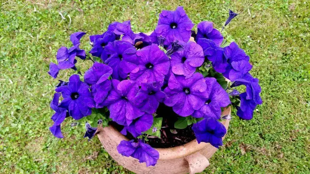 20180509_180325.webp