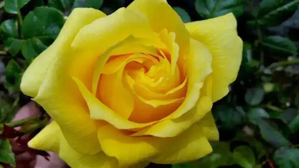 20180518_144652.webp
