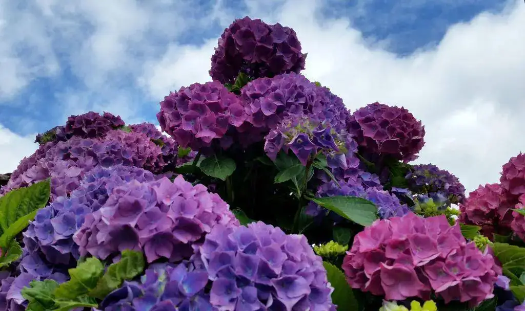 20180616_135027.webp