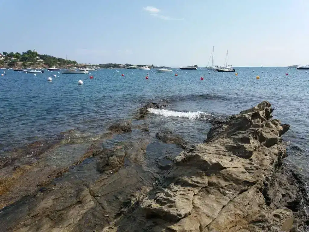 20180930_134739.webp