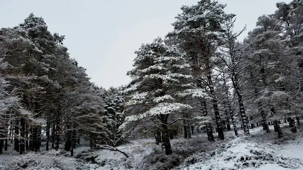 20190122_120931.webp