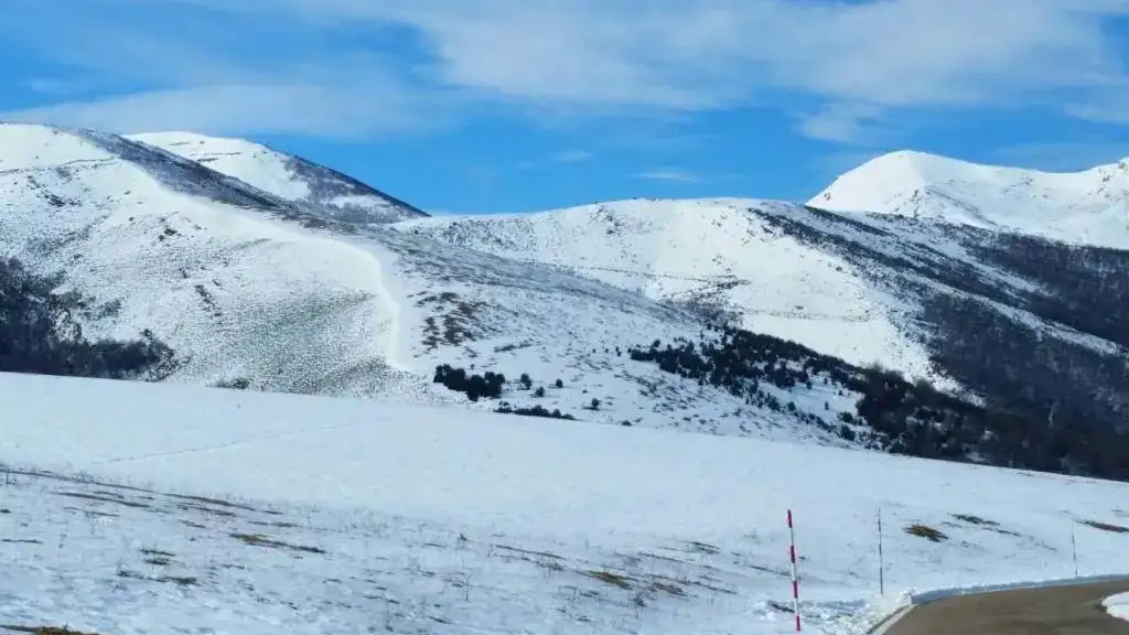 20190206_124844.webp