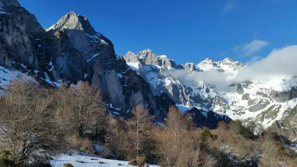 20190211_163720.webp