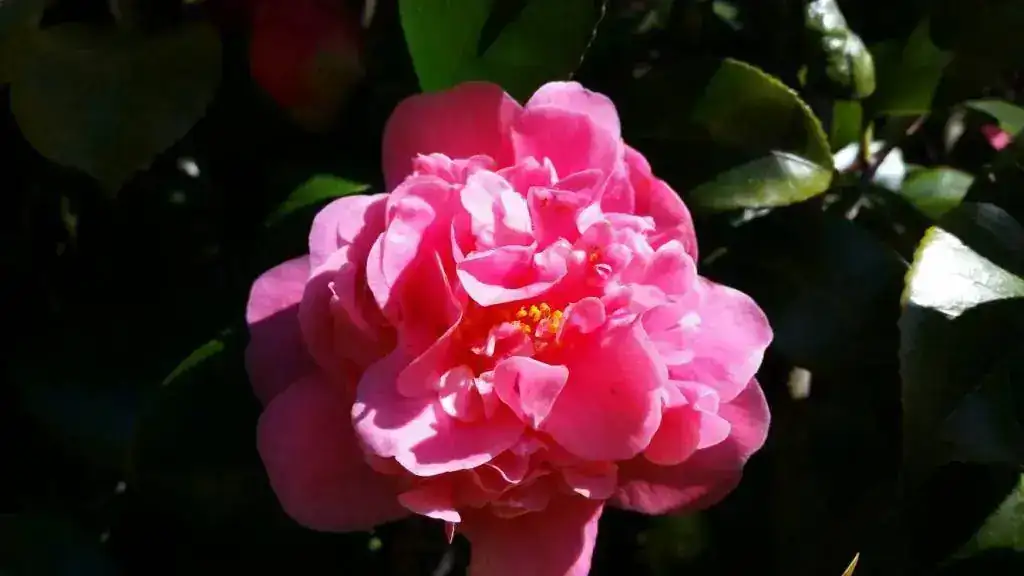 20190220_114811.webp