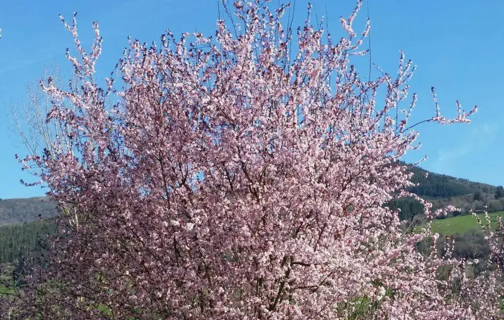 20190302_113711-1.webp