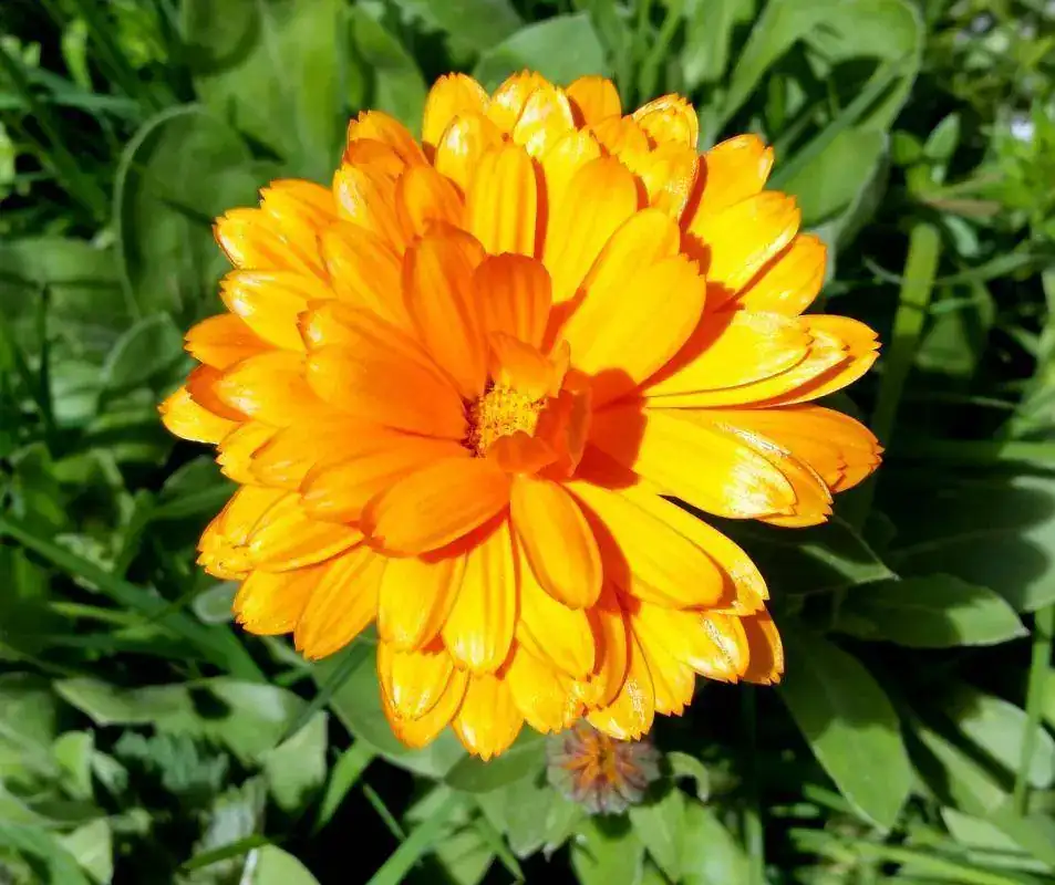 20190316_114847-1.webp